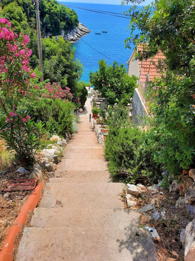 Belleview Apartments Vrbica Dubrovnik Exteriör bild