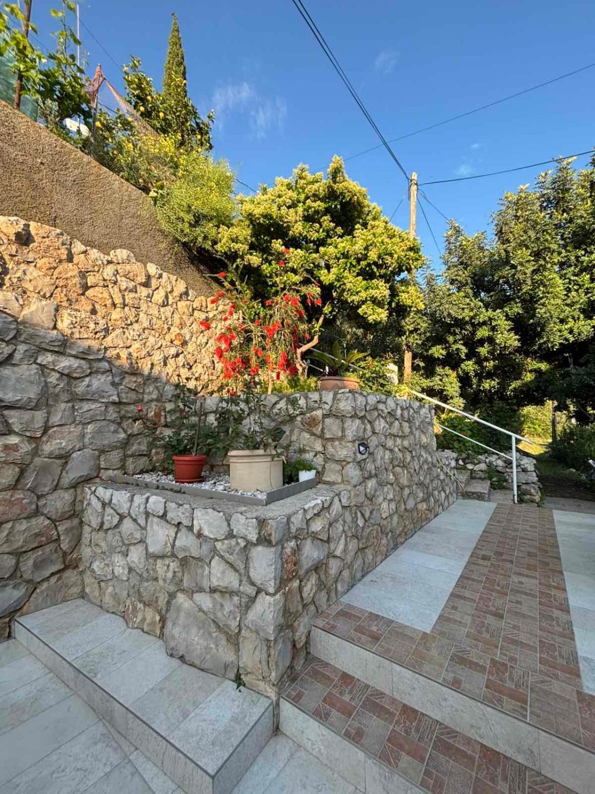 Belleview Apartments Vrbica Dubrovnik Exteriör bild
